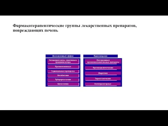 Фармакотерапевтические группы лекарственных препаратов, повреждающих печень