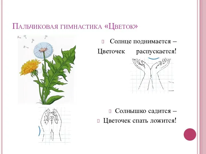 Пальчиковая гимнастика «Цветок» Солнце поднимается – Цветочек распускается! Солнышко садится – Цветочек спать ложится!