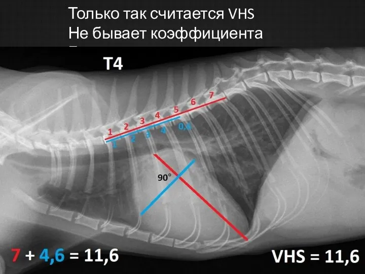 Только так считается VHS Не бывает коэффициента Бьюкенена