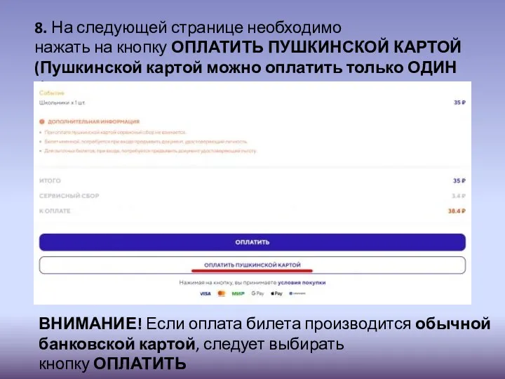 8. На следующей странице необходимо нажать на кнопку ОПЛАТИТЬ ПУШКИНСКОЙ КАРТОЙ