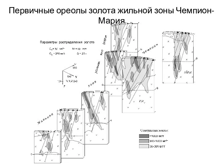 Первичные ореолы золота жильной зоны Чемпион-Мария