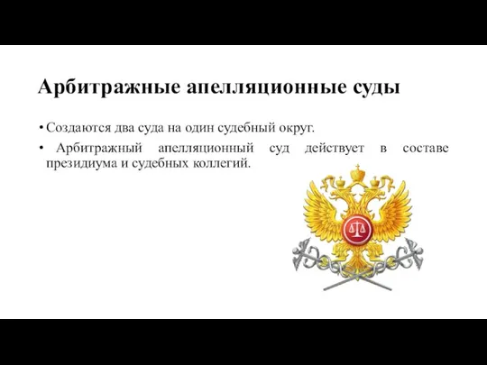 Арбитражные апелляционные суды Создаются два суда на один судебный округ. Арбитражный