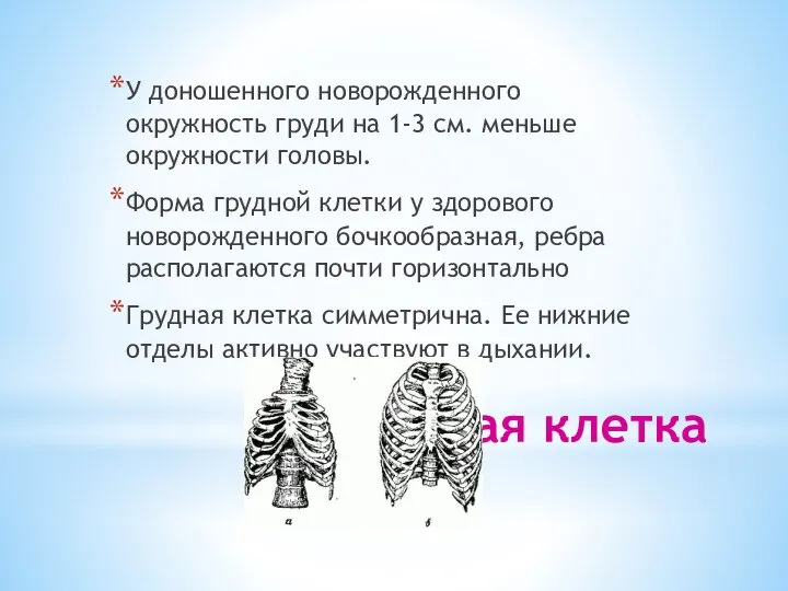 Грудная клетка У доношенного новорожденного окружность груди на 1-3 см. меньше