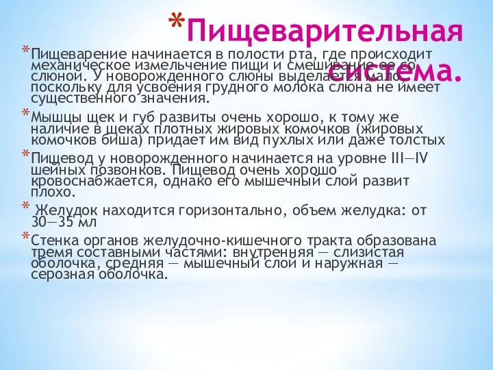 Пищеварительная система. Пищеварение начинается в полости рта, где происходит механическое измельчение