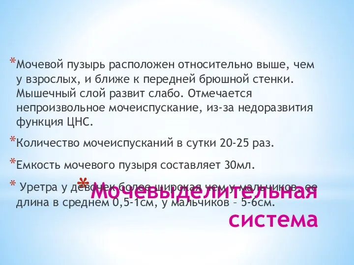 Мочевыделительная система Мочевой пузырь расположен относительно выше, чем у взрослых, и