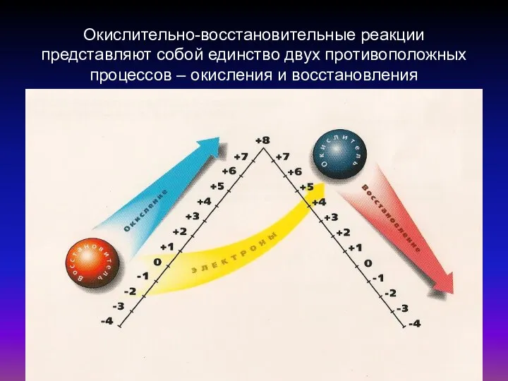 Окислительно-восстановительные реакции представляют собой единство двух противоположных процессов – окисления и восстановления