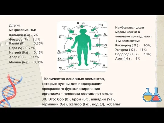 Другие макроэлементы: Фосфор (P) ≈ Кальций (Ca) ≈ 2% 1,1% Калий