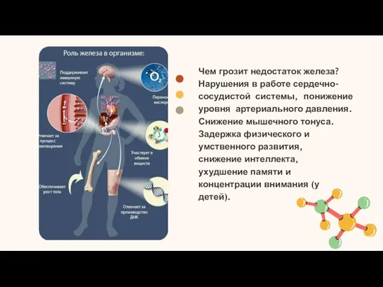 Чем грозит недостаток железа? Нарушения в работе сердечно- сосудистой системы, понижение