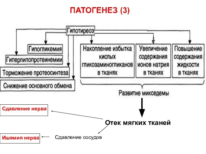 Отек мягких тканей Сдавление нерва Сдавление сосудов Ишемия нерва