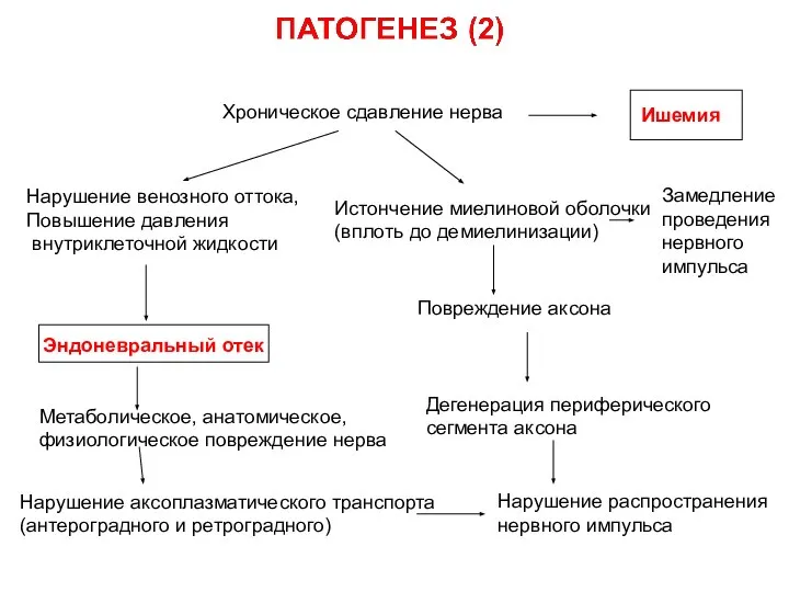 Хроническое сдавление нерва Эндоневральный отек Ишемия Нарушение венозного оттока, Повышение давления