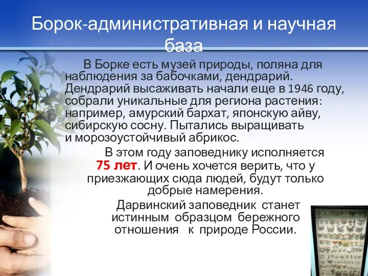 Борок-административная и научная база В Борке есть музей природы, поляна для