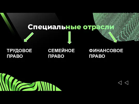 Специальные отрасли ТРУДОВОЕ ПРАВО СЕМЕЙНОЕ ПРАВО ФИНАНСОВОЕ ПРАВО