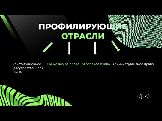 ПРОФИЛИРУЮЩИЕ ОТРАСЛИ Конституционное (государственное) право Гражданское право Уголовное право Административное право