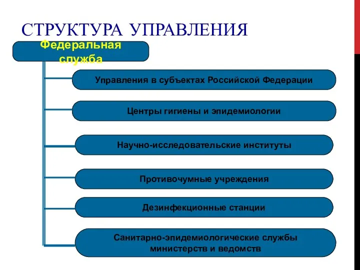 СТРУКТУРА УПРАВЛЕНИЯ Федеральная служба Управления в субъектах Российской Федерации Центры гигиены