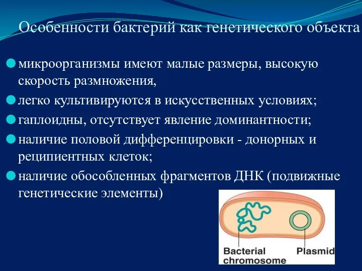 Особенности бактерий как генетического объекта микроорганизмы имеют малые размеры, высокую скорость