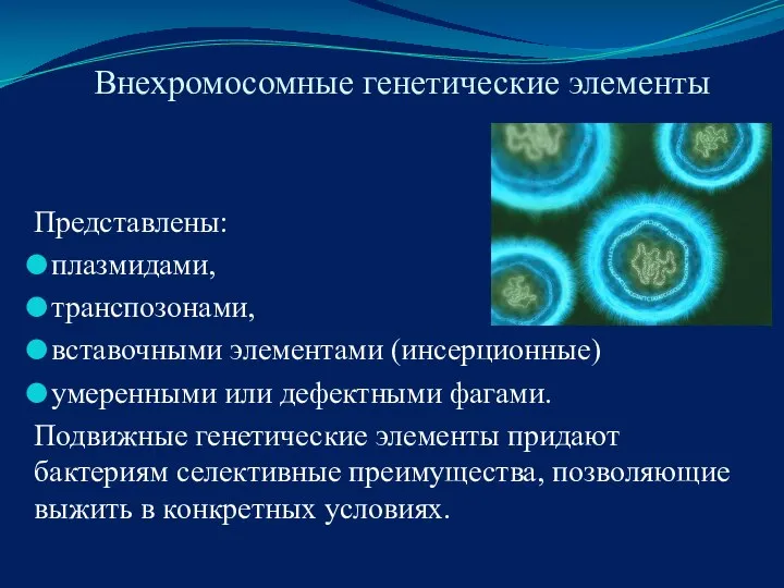 Внехромосомные генетические элементы Представлены: плазмидами, транспозонами, вставочными элементами (инсерционные) умеренными или