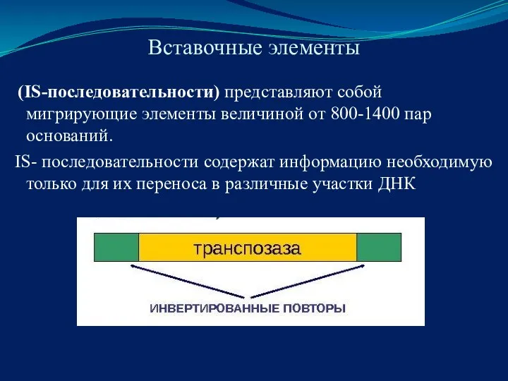 Вставочные элементы (IS-последовательности) представляют собой мигрирующие элементы величиной от 800-1400 пар