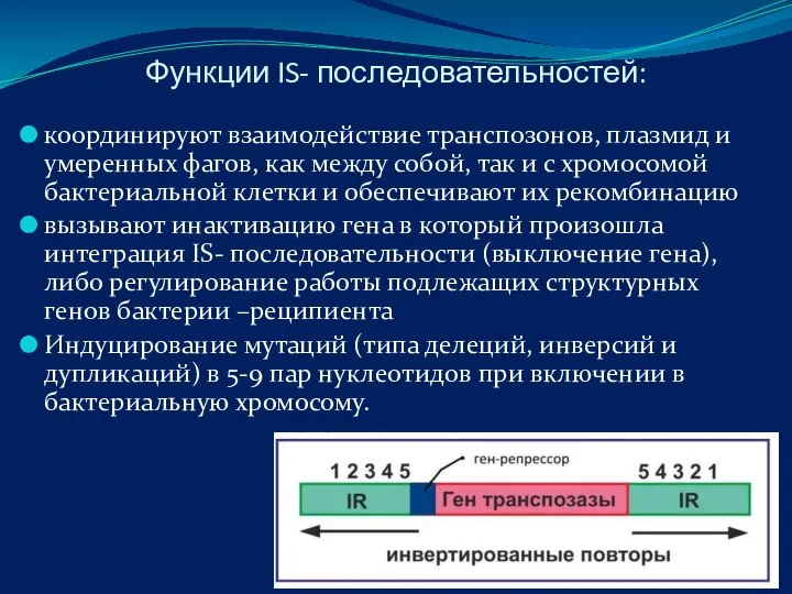 Функции IS- последовательностей: координируют взаимодействие транспозонов, плазмид и умеренных фагов, как