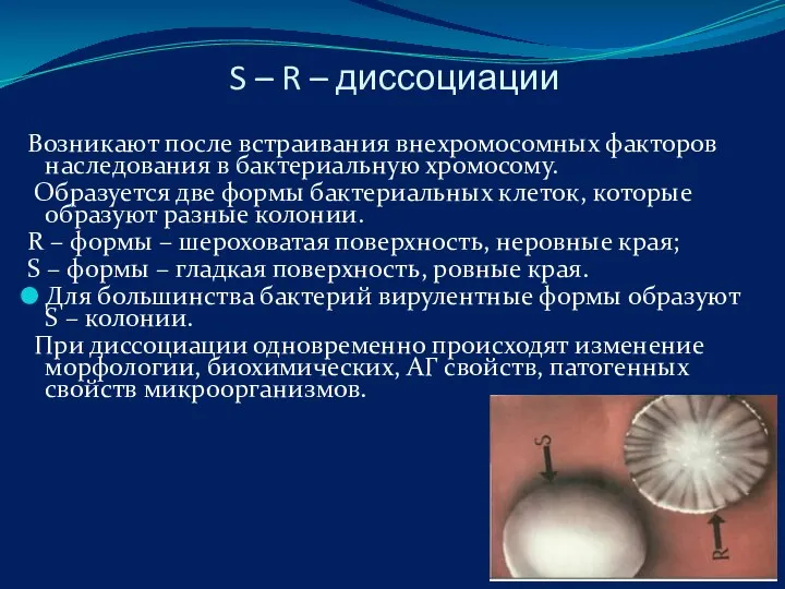 S – R – диссоциации Возникают после встраивания внехромосомных факторов наследования