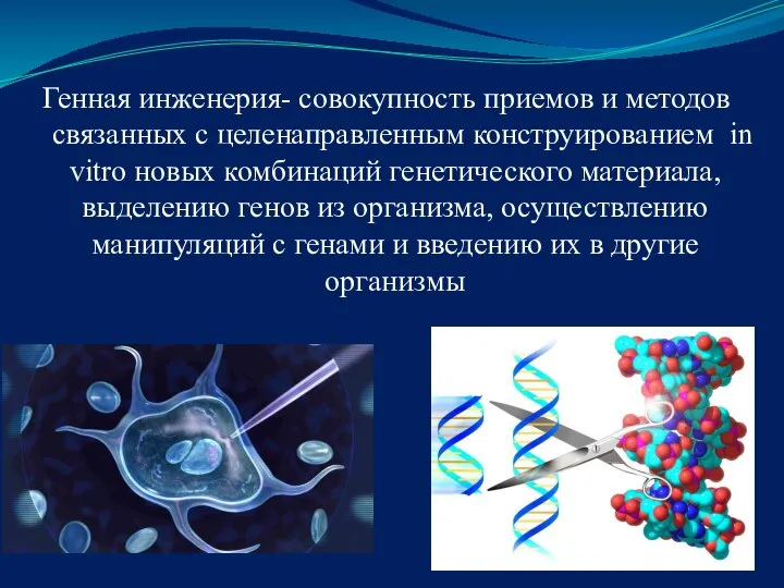 Генная инженерия- совокупность приемов и методов связанных с целенаправленным конструированием in