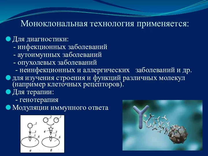 Моноклональная технология применяется: Для диагностики: - инфекционных заболеваний - аутоимунных заболеваний