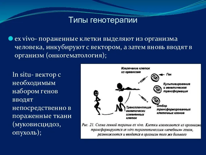 Типы генотерапии ex vivo- пораженные клетки выделяют из организма человека, инкубируют