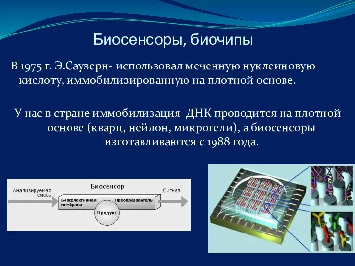 Биосенсоры, биочипы В 1975 г. Э.Саузерн- использовал меченную нуклеиновую кислоту, иммобилизированную