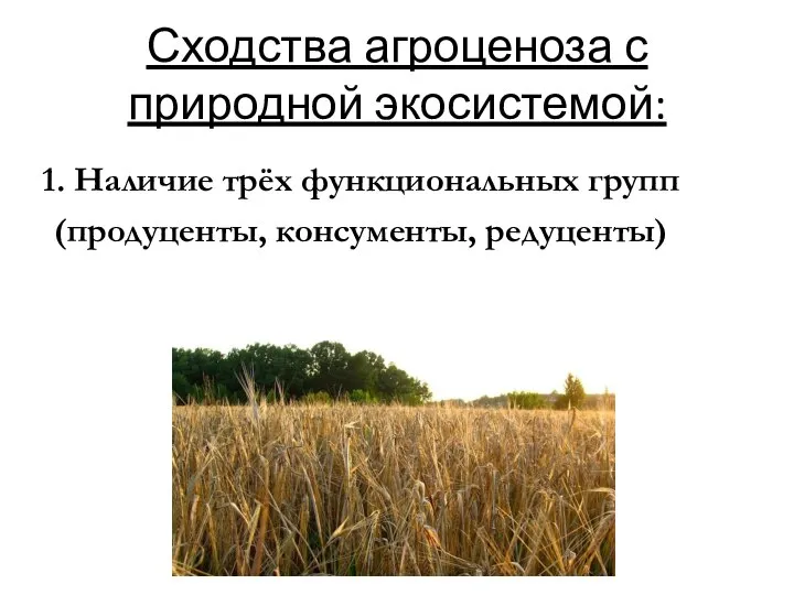 Сходства агроценоза с природной экосистемой: 1. Наличие трёх функциональных групп (продуценты, консументы, редуценты)