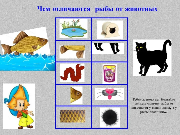 Чем отличаются рыбы от животных Ребенок помогает Незнайке увидеть отличия рыбы