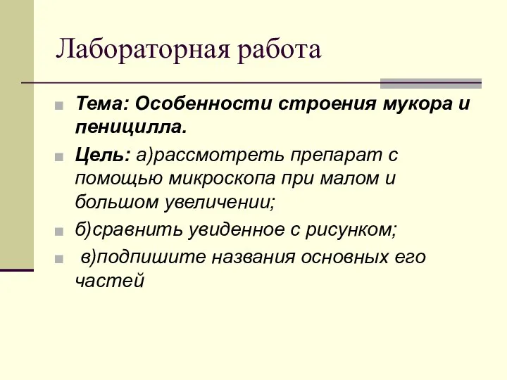 Лабораторная работа Тема: Особенности строения мукора и пеницилла. Цель: а)рассмотреть препарат