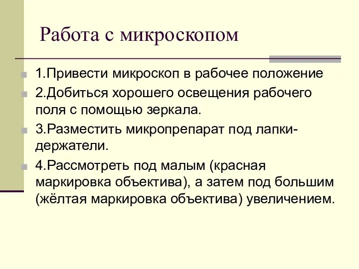 Работа с микроскопом 1.Привести микроскоп в рабочее положение 2.Добиться хорошего освещения