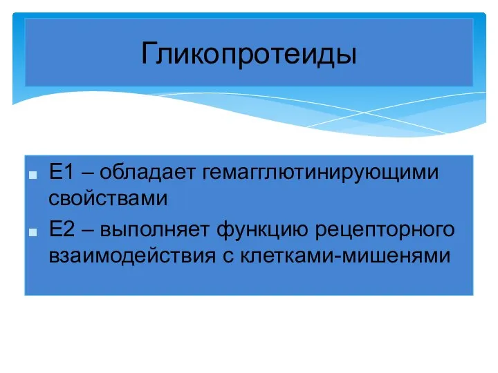 Е1 – обладает гемагглютинирующими свойствами Е2 – выполняет функцию рецепторного взаимодействия с клетками-мишенями Гликопротеиды