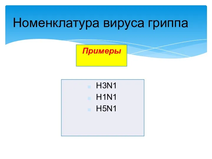 Номенклатура вируса гриппа H3N1 H1N1 H5N1 Примеры