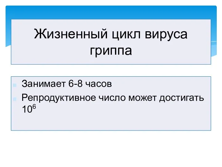 Занимает 6-8 часов Репродуктивное число может достигать 106 Жизненный цикл вируса гриппа