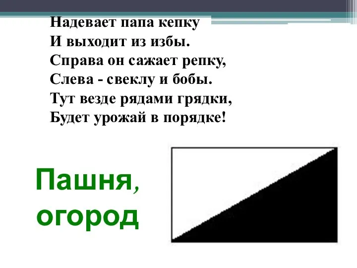 Пашня, огород Надевает папа кепку И выходит из избы. Справа он