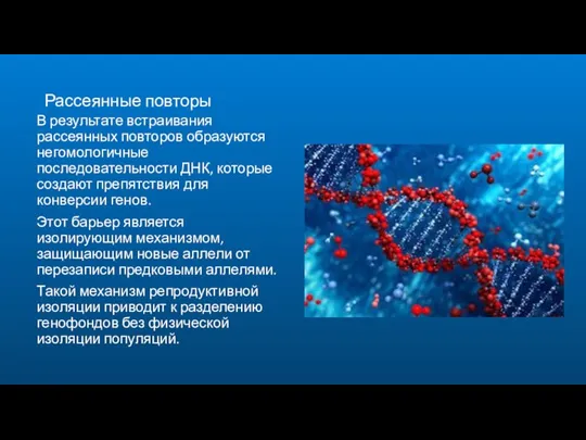 Рассеянные повторы В результате встраивания рассеянных повторов образуются негомологичные последовательности ДНК,