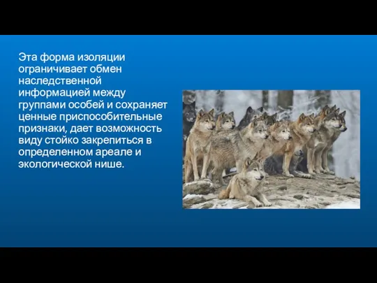 Эта форма изоляции ограничивает обмен наследственной информацией между группами особей и