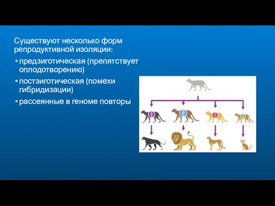 Существуют несколько форм репродуктивной изоляции: предзиготическая (препятствует оплодотворению) постзиготическая (помехи гибридизации) рассеянные в геноме повторы