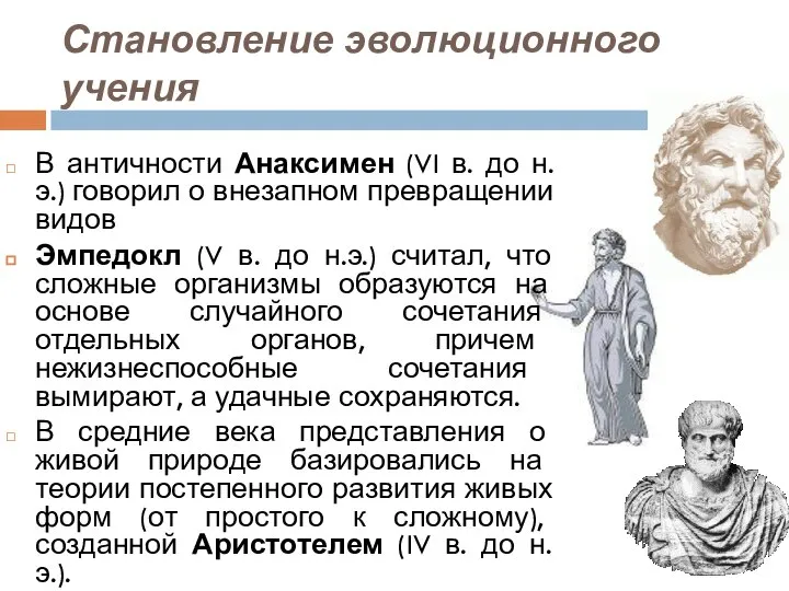 Становление эволюционного учения В античности Анаксимен (VI в. до н.э.) говорил