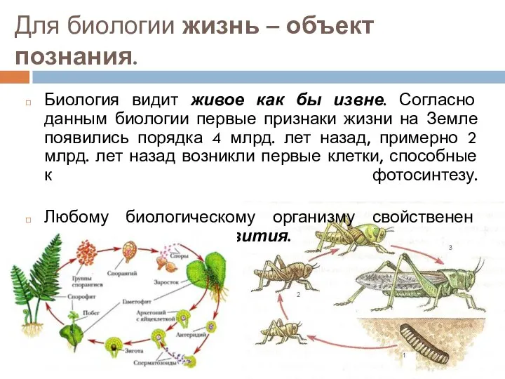 Для биологии жизнь – объект познания. Биология видит живое как бы