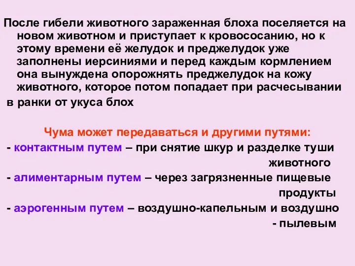 После гибели животного зараженная блоха поселяется на новом животном и приступает