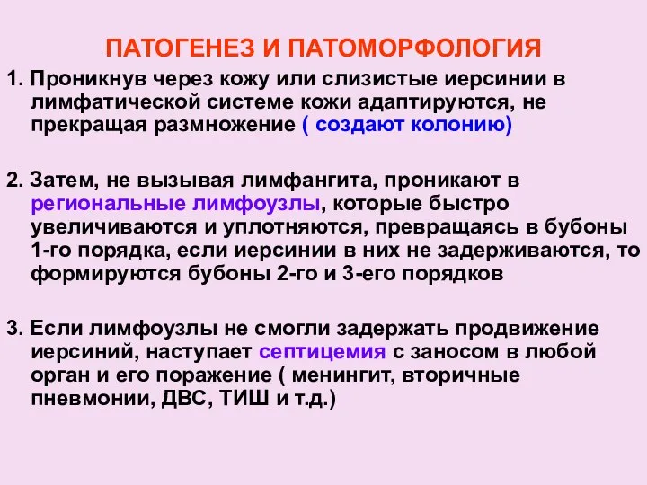 ПАТОГЕНЕЗ И ПАТОМОРФОЛОГИЯ 1. Проникнув через кожу или слизистые иерсинии в