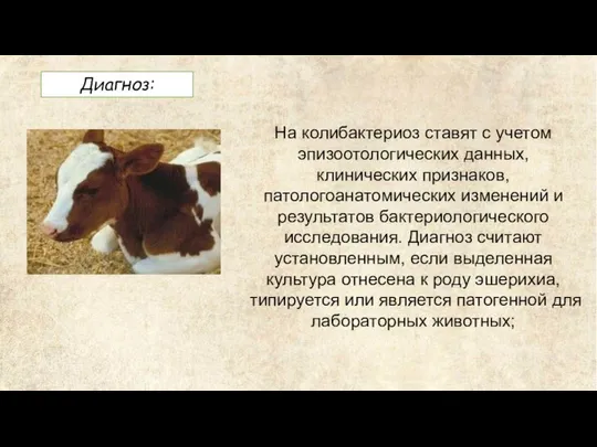 Диагноз: На колибактериоз ставят с учетом эпизоотологических данных, клинических признаков, патологоанатомических