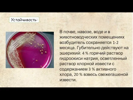 Устойчивость: В почве, навозе, воде и в животноводческих помещениях возбудитель сохраняется