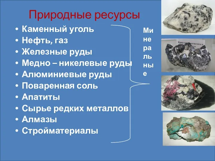 Природные ресурсы Каменный уголь Нефть, газ Железные руды Медно – никелевые