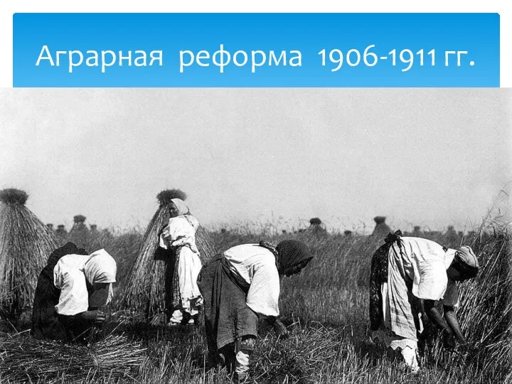 Аграрная реформа 1906-1911 гг.