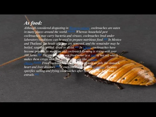 As food: Although considered disgusting in Western culture, cockroaches are eaten