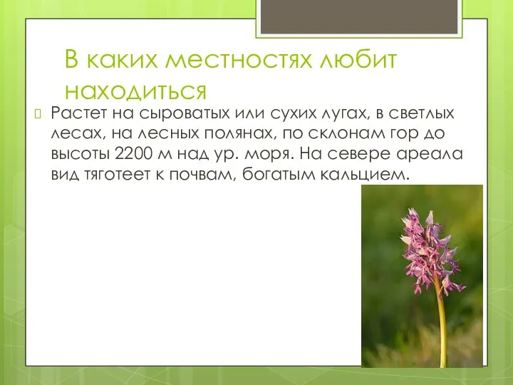 В каких местностях любит находиться Растет на сыроватых или сухих лугах,