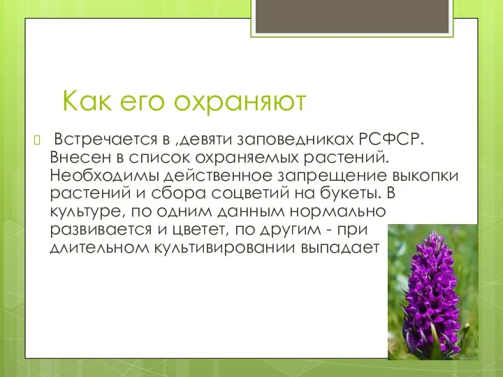 Как его охраняют Встречается в ,девяти заповедниках РСФСР. Внесен в список