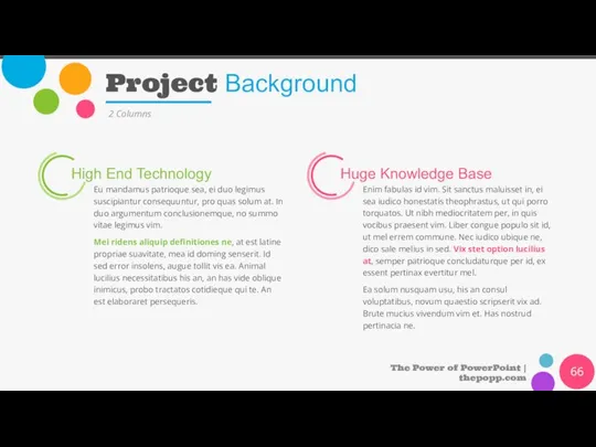 Project Background The Power of PowerPoint | thepopp.com 2 Columns High